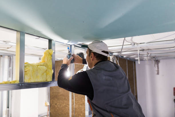 Best Insulation Maintenance and Repair in Mcconnelsville, OH